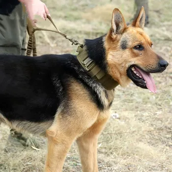 Modernizētas dubultās Sprādzes Taktiskās kaklasiksna Militārās Apmācības lieljaudas Liels suns apkakles Klasiskais neilona pet āra piederumu