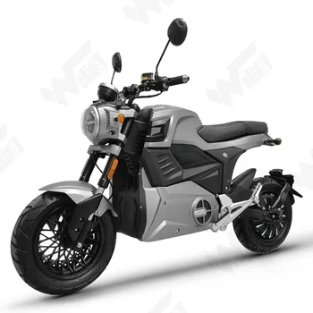 EEK Apstiprināts Mini Elektriskais Motocikls ar 4000w Hub Motors Pārdošanā