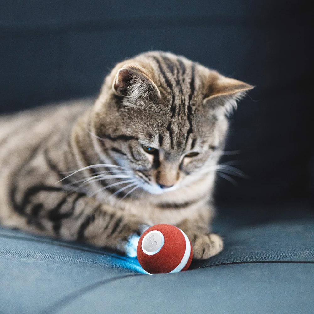 Cheerble Lodīšu Automātiska Mijiedarbību un Smart Pet Rotaļlietas Cat preces Lodīšu
