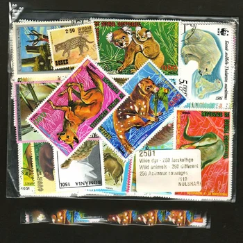250Pcs/daudz Savvaļas Dzīvnieku Tēmu Zīmogi Pasaules Oriģinālu Pastmarku ar pasta zīmoga Labā Stāvoklī Kolekcija Nr. Atkārtot